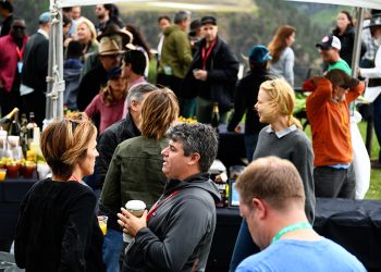 Telluride Diary Part Two – Yes I Saw a Bear