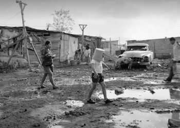 Roma wins Golden Lion in Venice, The Favourite Wins Jury Prize