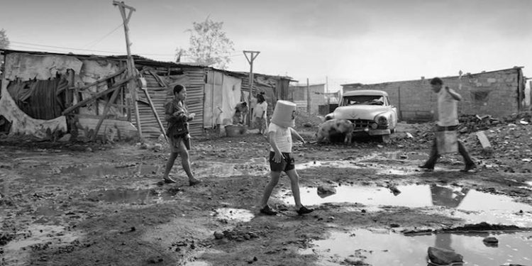 Roma wins Golden Lion in Venice, The Favourite Wins Jury Prize