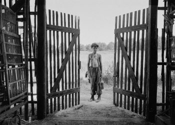 IFC Drops Trailer for Gorgeous ‘Painted Bird’