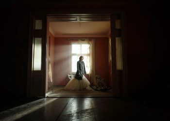 steven knight spencer