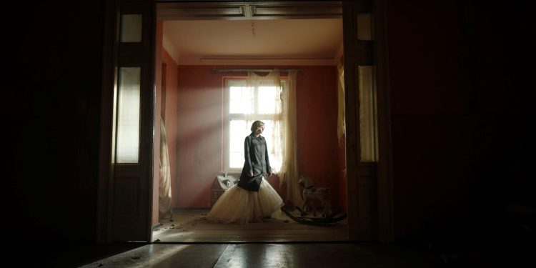 steven knight spencer