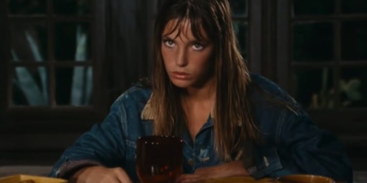 Jane Birkin: All This Useful Beauty